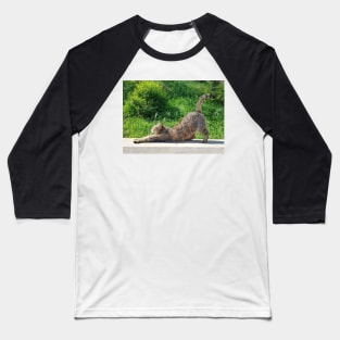 Stretching Cat Baseball T-Shirt